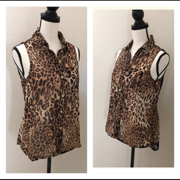 Final Sale Sans Souci Animal Print Back Lace Sheer Top - Picture 3 of 3